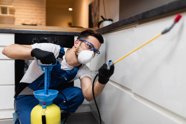 Best Bed Bug Extermination  in Taylor Creek, FL