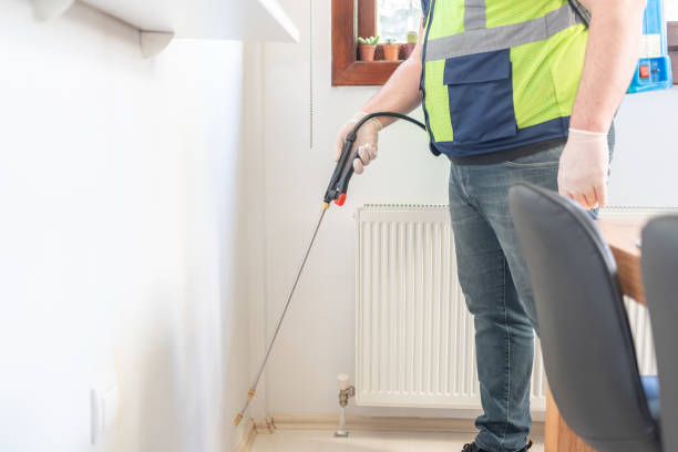 Best Flea Control Services  in Taylor Creek, FL