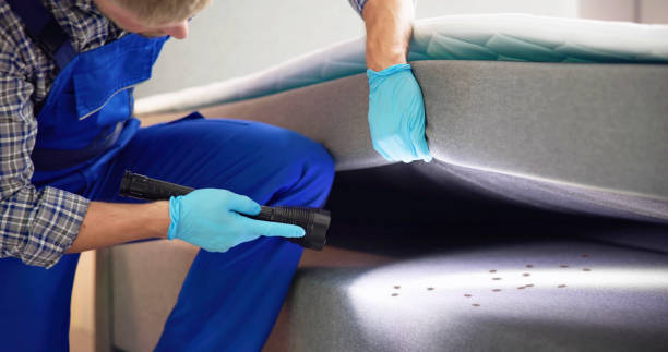 Best Pest Prevention Services  in Taylor Creek, FL
